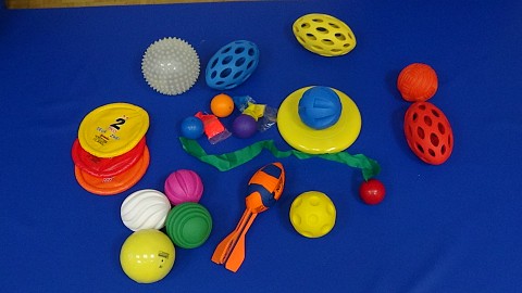 Oviratlon Pokljuka 2015: donacija URI - Soča