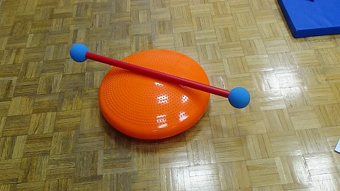 Oviratlon Pokljuka 2015: donacija URI - Soča