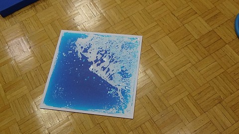 Oviratlon Pokljuka 2015: donacija URI - Soča