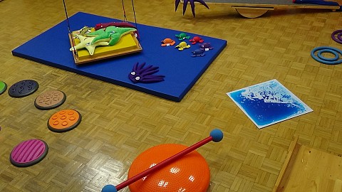 Oviratlon Pokljuka 2015: donacija URI - Soča