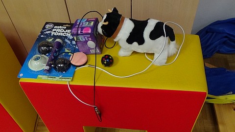 Oviratlon Pokljuka 2015: donacija URI - Soča