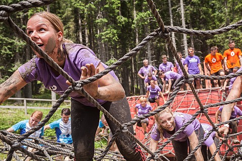 Fisherman's Friend mravljišče