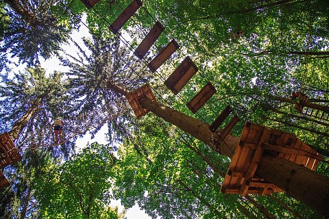 Zlata proga v Pustolovskem parku Gesoss