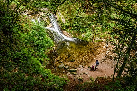 Schwarzwald, pohodništvo v Baiersbronnu © Nemška turistična organizacija DZT, FOTO Günter Standl